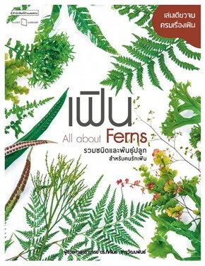 All about Ferns