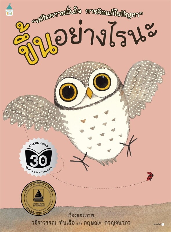 How to Get Up There? (Paperback)