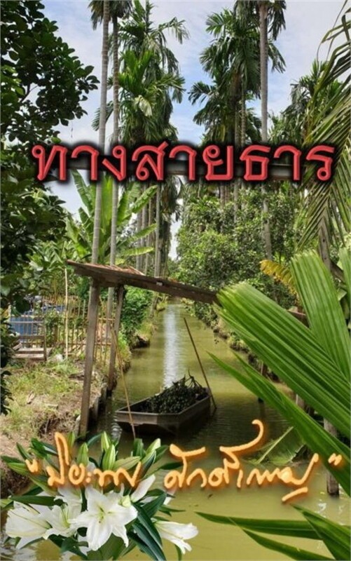 The Stream